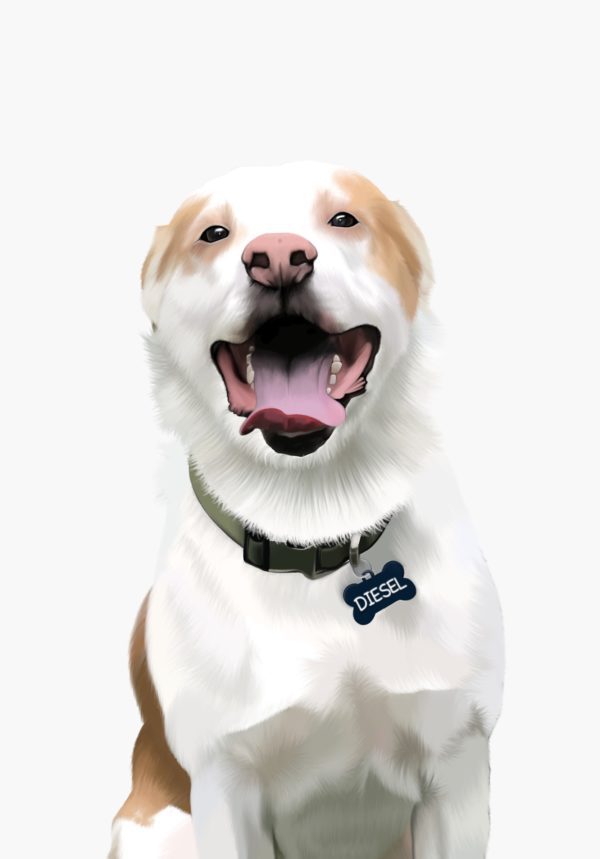 Digital Pet Portrait - Realistic